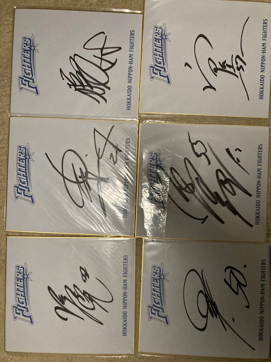 プロ野球 直筆サイン色紙 貴重 北海道日本ハムファイターズ 野球