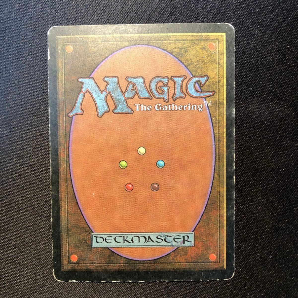 不毛の大地 Wasteland MTG 日本語 TMP｜Yahoo!フリマ（旧PayPayフリマ）