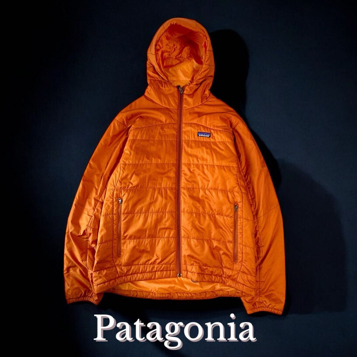 Patagonia マイクロパフ フーディ パタゴニア 2011年 83974 ナイロン