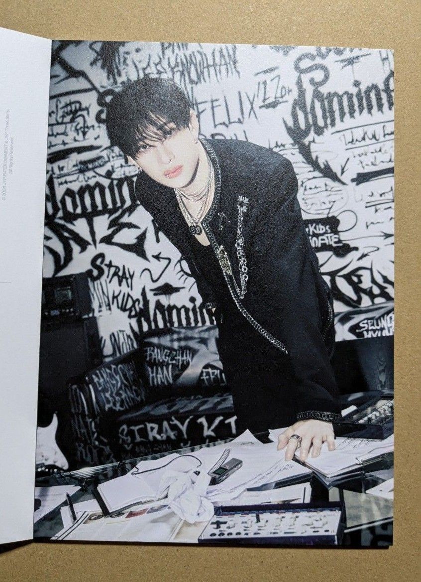 stray kids バンチャン 直筆サイン ポラロイド チェキ 【公式通販】