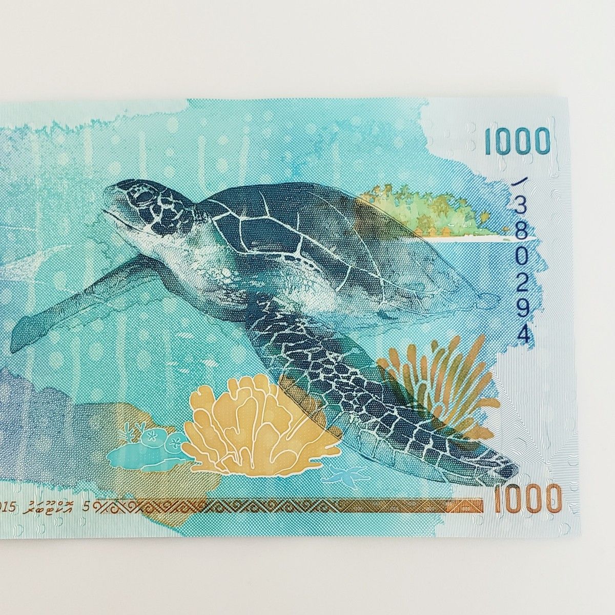 モルディブ 1000Rufiyaa 1000ルフィア紙幣 ジンベイザメ ウミガメ 希少
