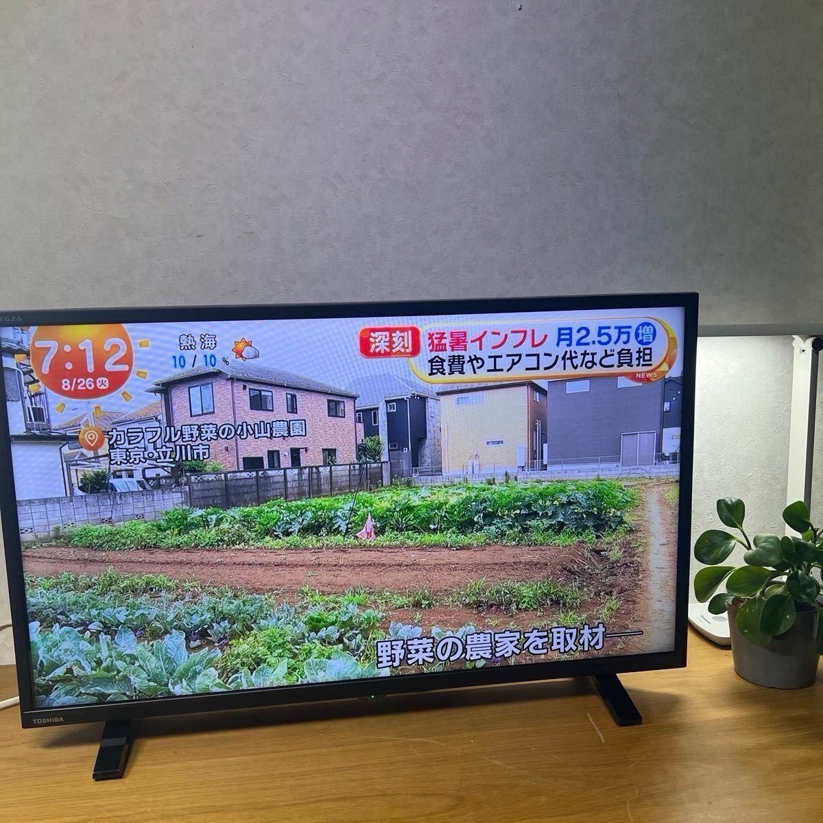 2024年製 東芝 レグザ 32S24 REGZA 32型 テレビ｜Yahoo!フリマ（旧