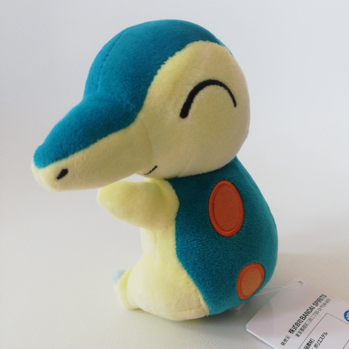 ポケモン ポケットモンスター ヒノアラシ ポケモンセンター ポケドール