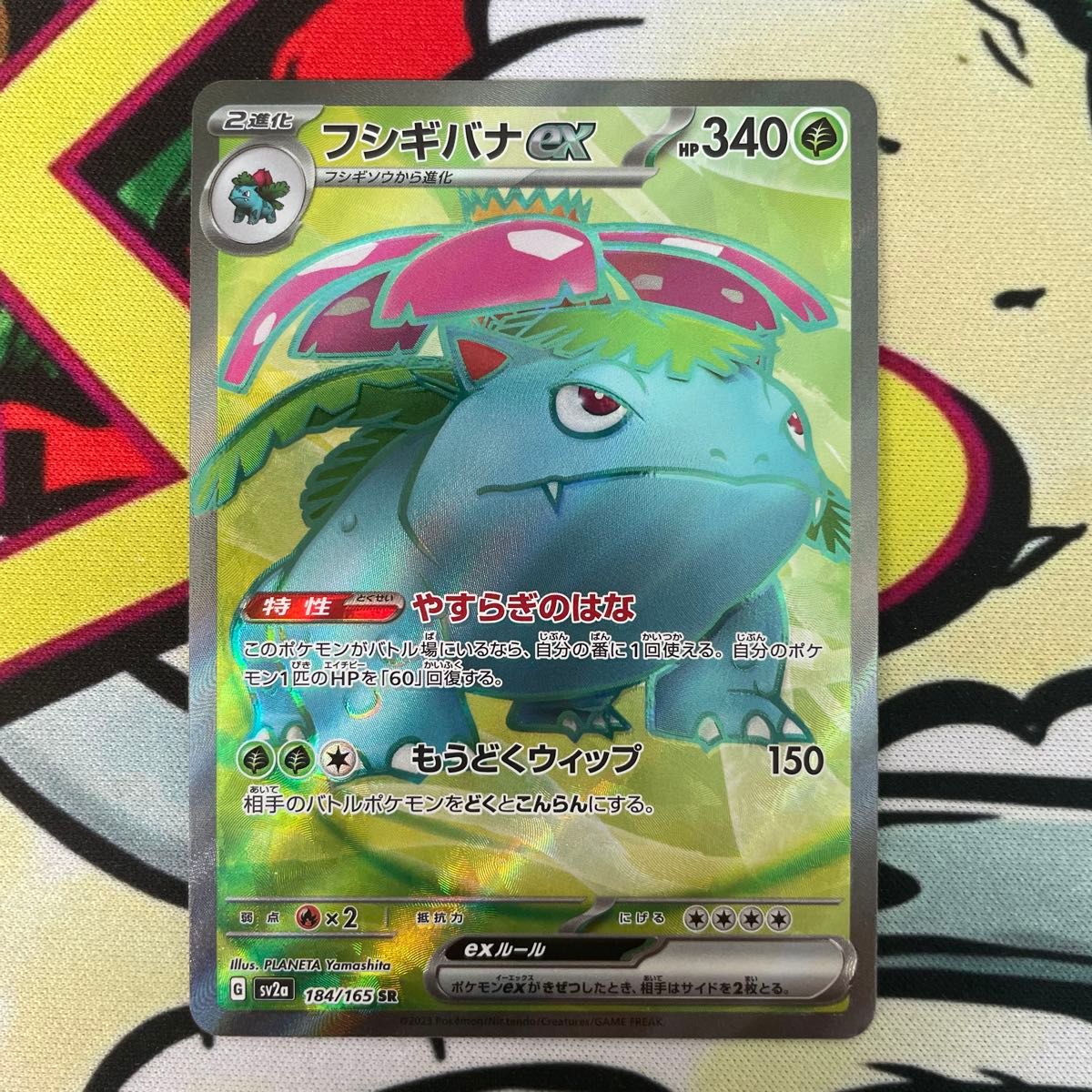 PSA3連番】旧裏リザードン フシギバナ カメックス CDPROMO 渦巻き PSA