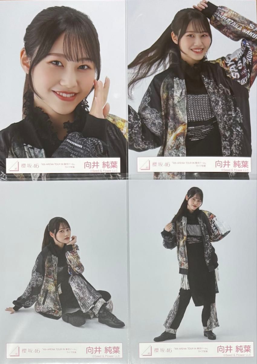 櫻坂46 向井純葉 ANNIVERSARY ライブ衣装 直筆サイン か*ず様 櫻坂46