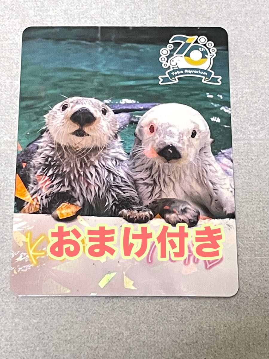 鳥羽水族館 TOBA AQUARIUMコレクションカード レア ラッコ キラメイ