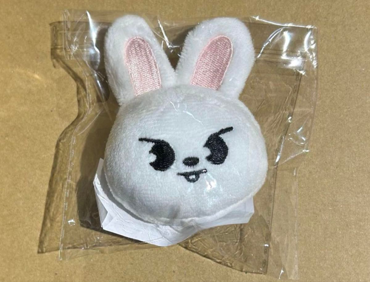 StrayKids skzoo ぬいぐるみマグネット leebit リビ リノ スキズ 新品