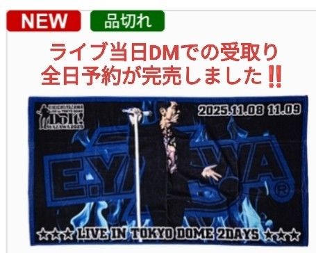 矢沢永吉 SBT スペシャルビーチタオル (Do It YAZAWA2025) 東京ドーム