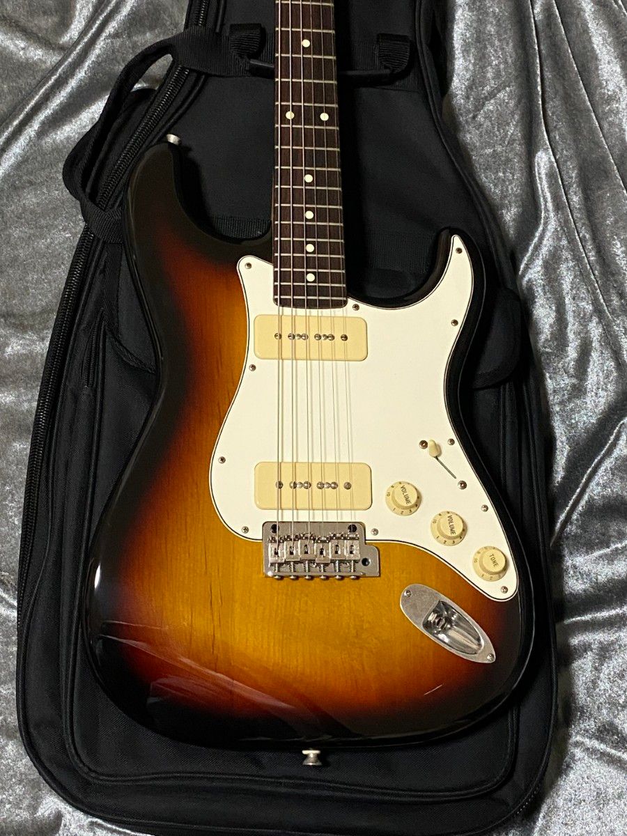 FUJIGEN（フジゲン） NST12RAL P-90タイプPU搭載 Neo Classic 国産