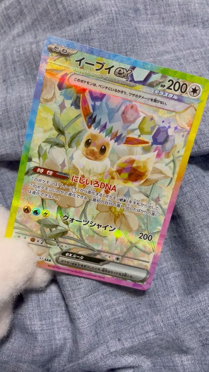 ポケモンカード テラスタルフェス ブイズSAR 10種コンプリート 2セット
