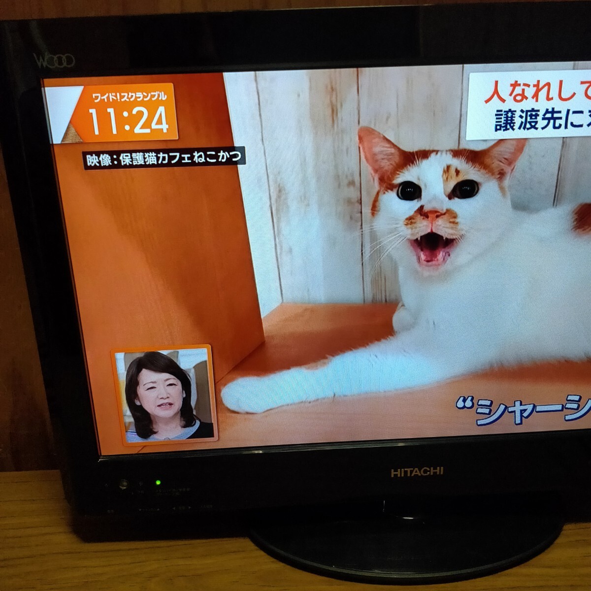 送料無料(2655)HITACHI 日立 液晶テレビ 22型 L22-H05｜Yahoo!フリマ