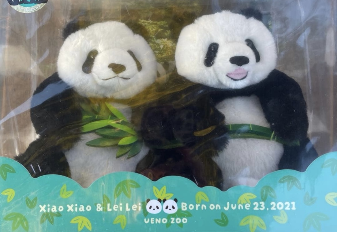 上野動物園 新品 パンダ ぬいぐるみセット 暁暁＆蕾蕾 シャオシャオ