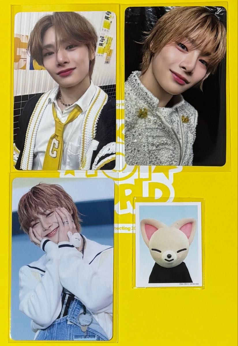 Stray Kids ストレイキッズ SKZ TOY WORLD Blu-ray 封入 HMV特典トレカ