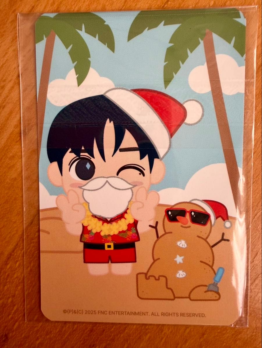 CNBLUE ジョン・ヨンファ ミニヨンキーリング サンタ ぬいぐるみ