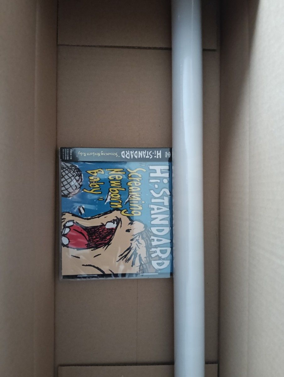 Hi-STANDARD Screaming Newborn Baby CD ハイスタ 新品 未開封
