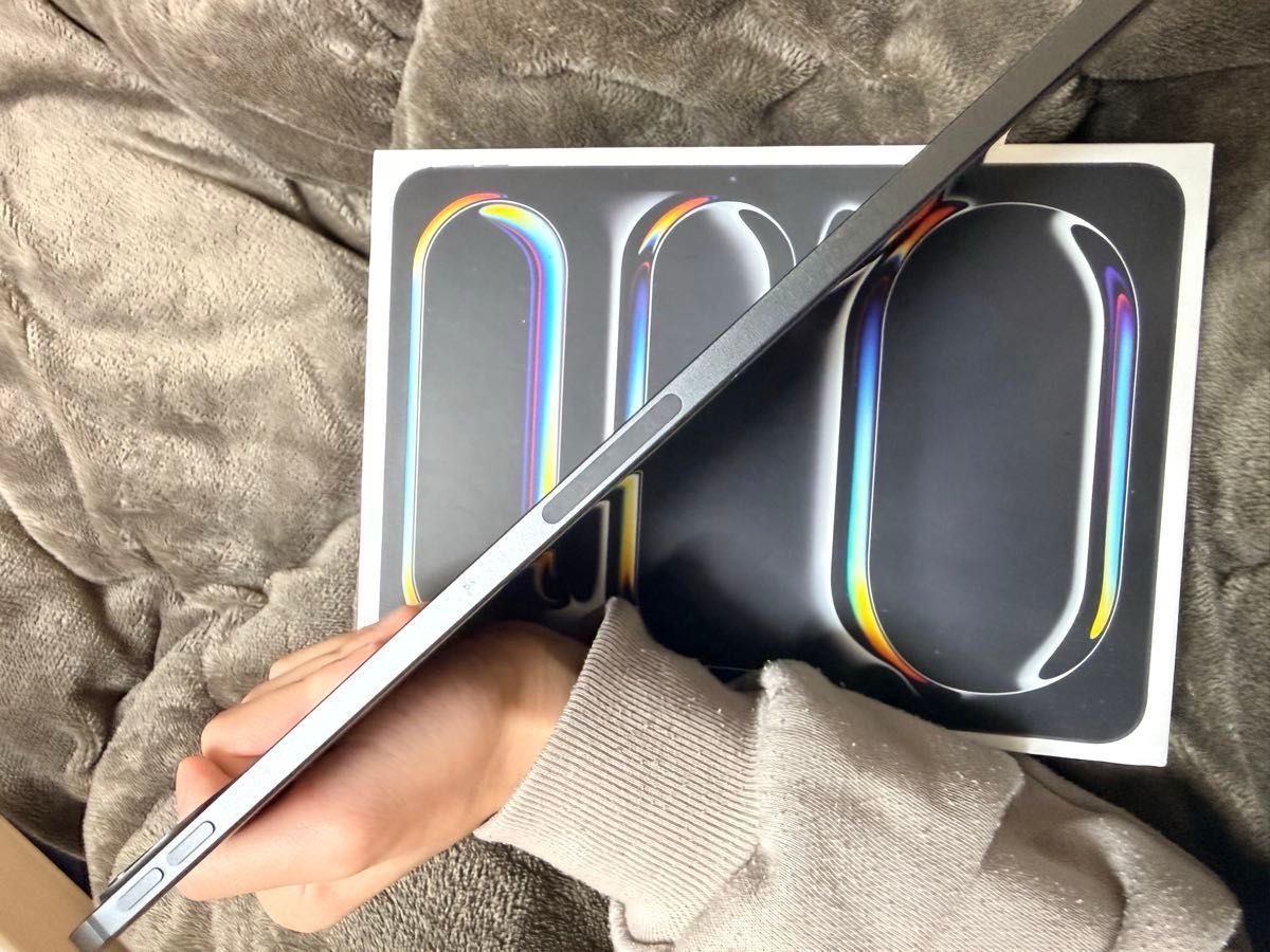 最終値下げ【最大容量97%】極美品iPad Pro M4 11inch Wi-Fi スペース