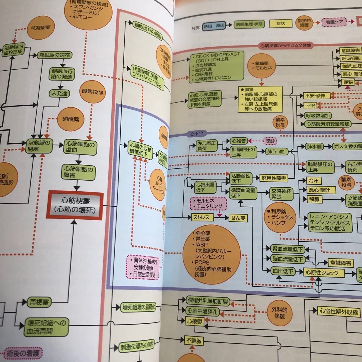 エビデンスに基づく疾患別看護ケア関連図 改訂版｜Yahoo!フリマ（旧