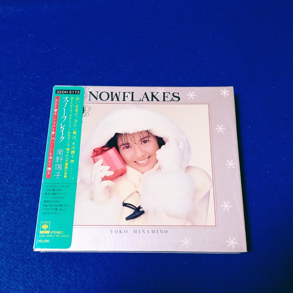 Yahoo!オークション -「南野陽子 スノーフレイク」の落札相場・落札価格