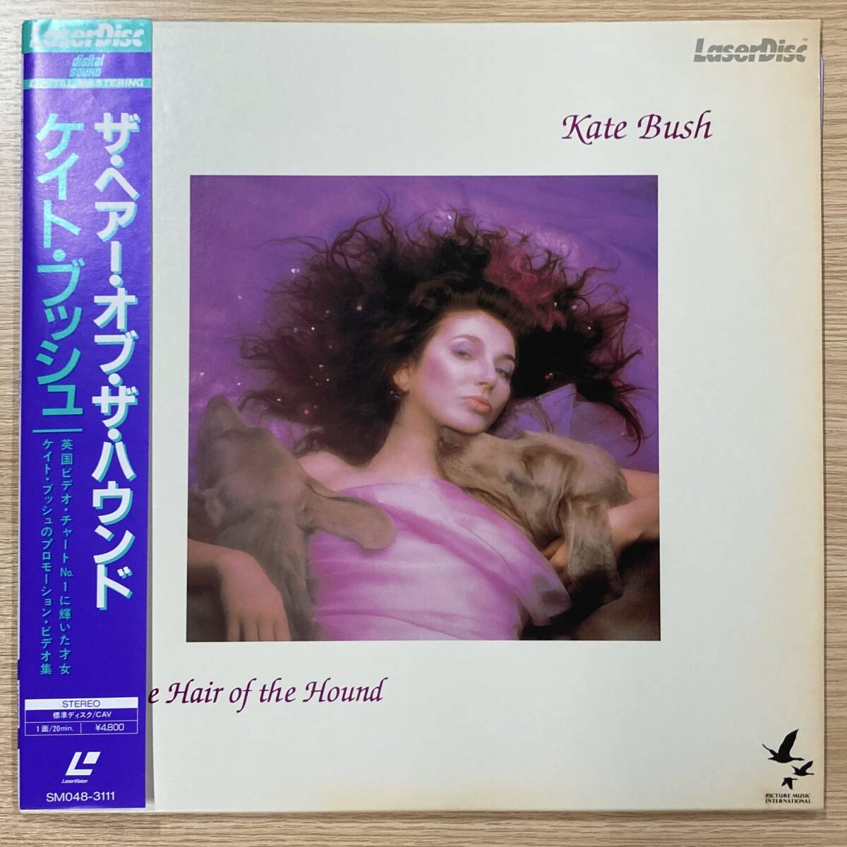 Yahoo!オークション -「kate bush hounds of love」(レコード) の落札
