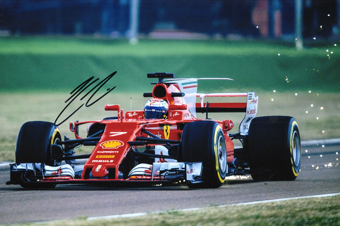 Yahoo!オークション -「ライコネン サイン」の落札相場・落札価格