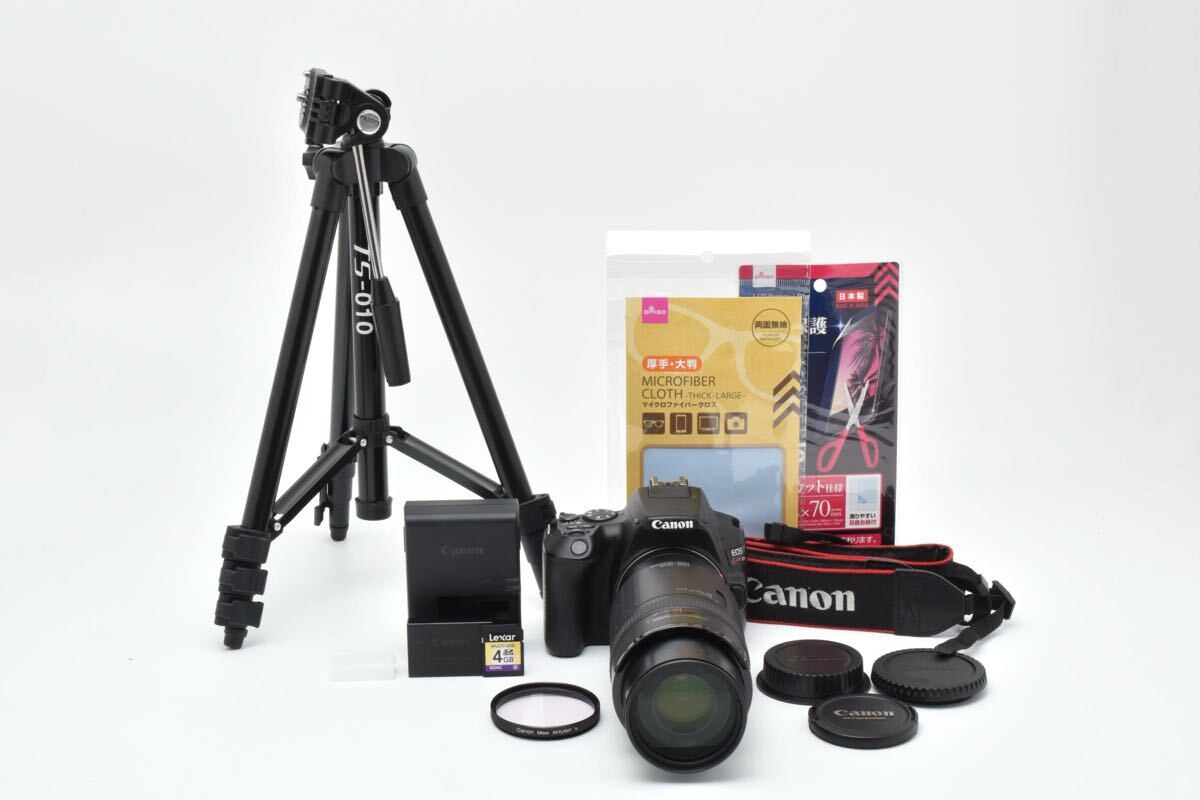 2026年最新】Yahoo!オークション -ef100-300mm f5.6の中古品・新品・未