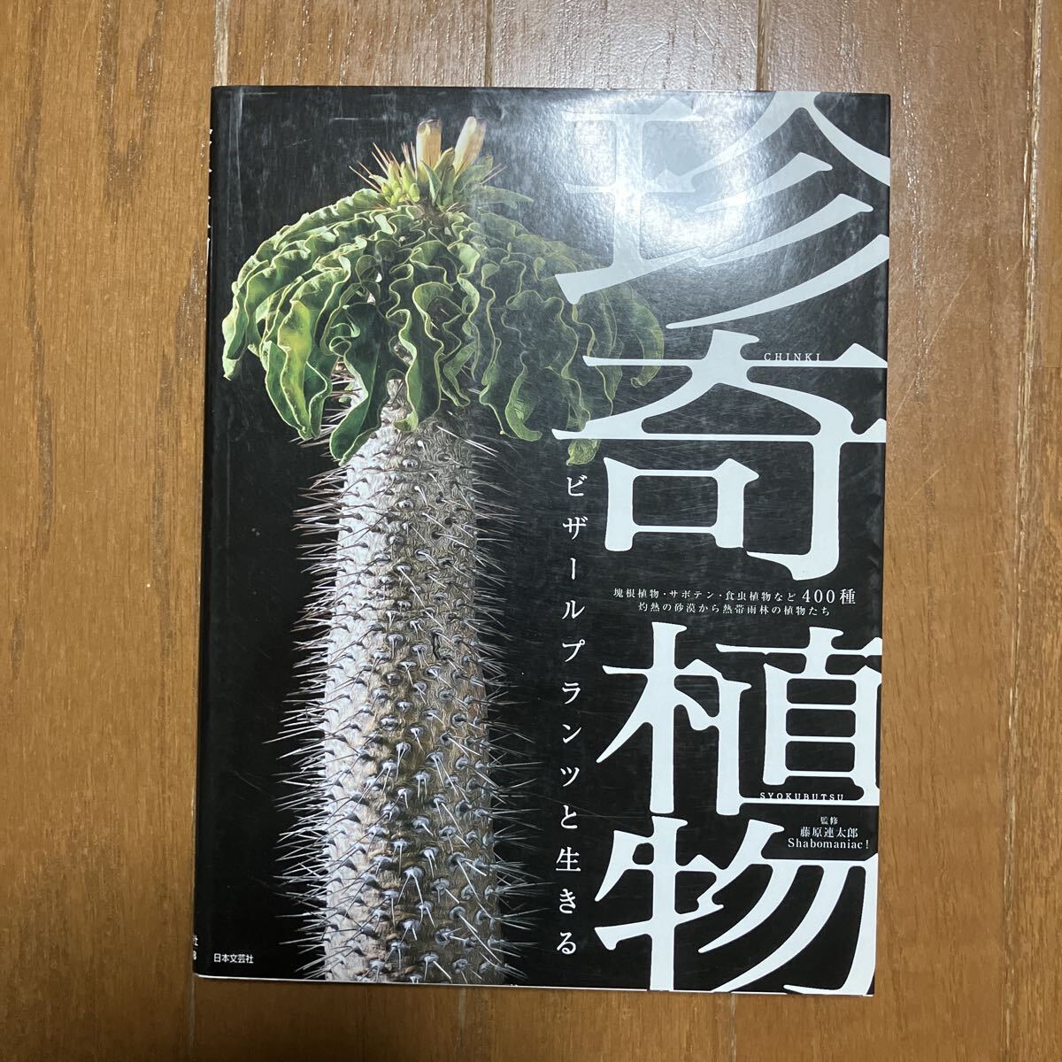 2026年最新】Yahoo!オークション -サボテン(本、雑誌)の中古品・新品