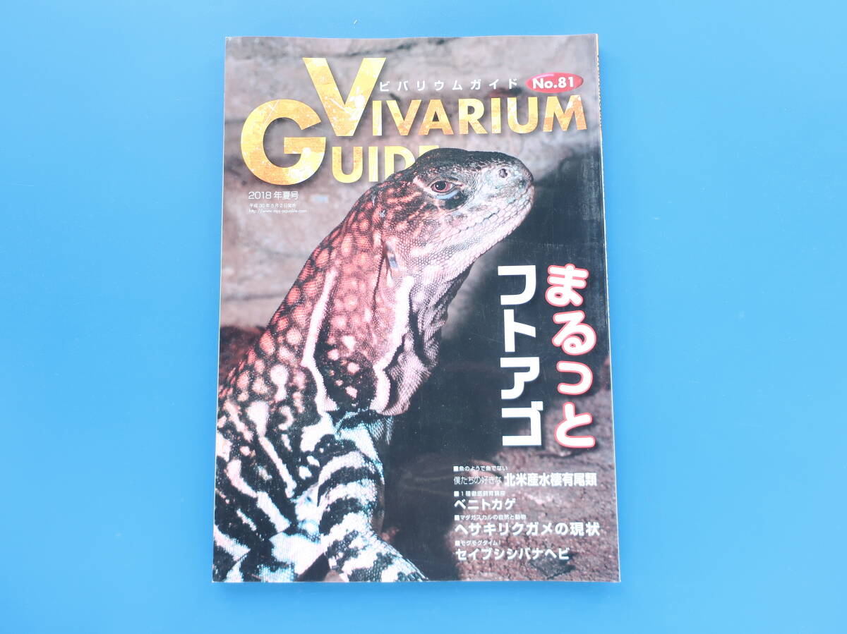 2026年最新】Yahoo!オークション -#ビバリウムガイドの中古品・新品