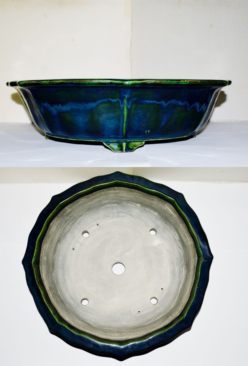 Yahoo!オークション -「真山」(盆栽) の落札相場・落札価格