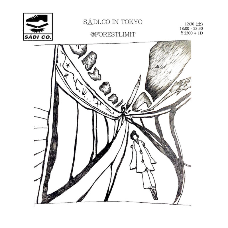 平賀さち枝とホームカミングスが「白い光の朝に」のカセットテープ