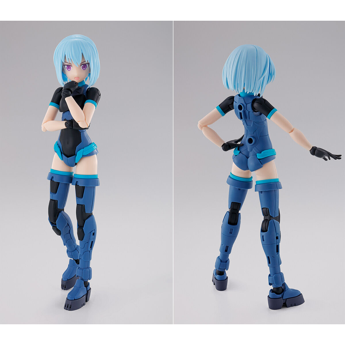 30MS SIS-Ac65n パワラリー=パリトン(グラーヴェフォーム)【2次