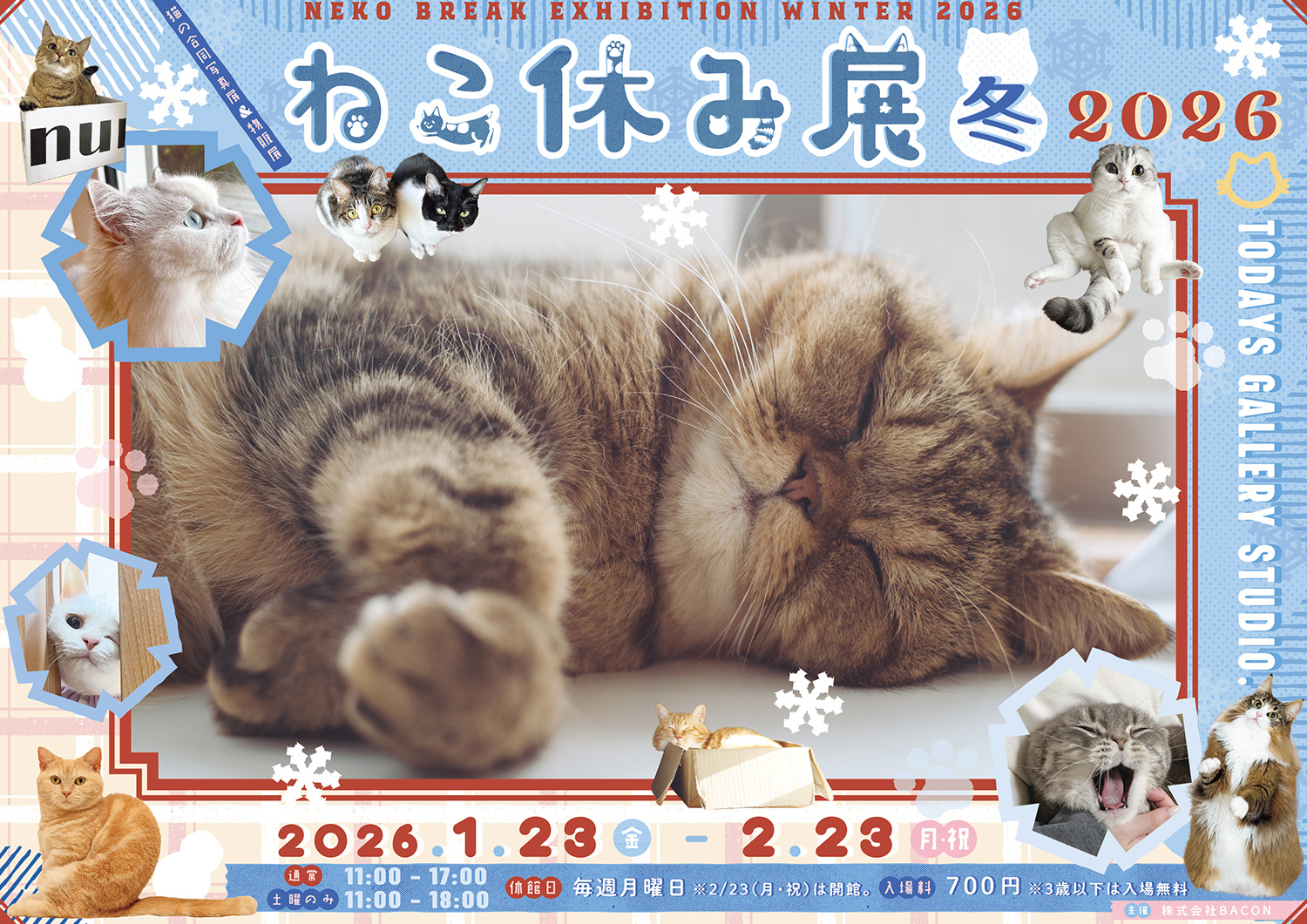 猫の合同写真展＆物販展イベント「ねこ休み展 冬 2026」