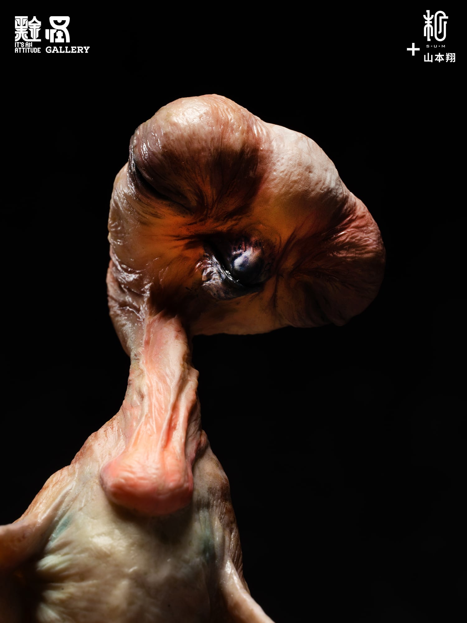 Cockatrice 塗装済み完成品 ver.B｜山本翔 | sumart