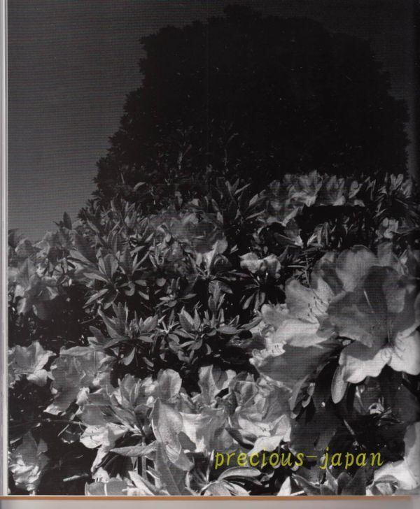 深瀬 昌久 撮影 写真集 hysteric Twelve | IZUMODO