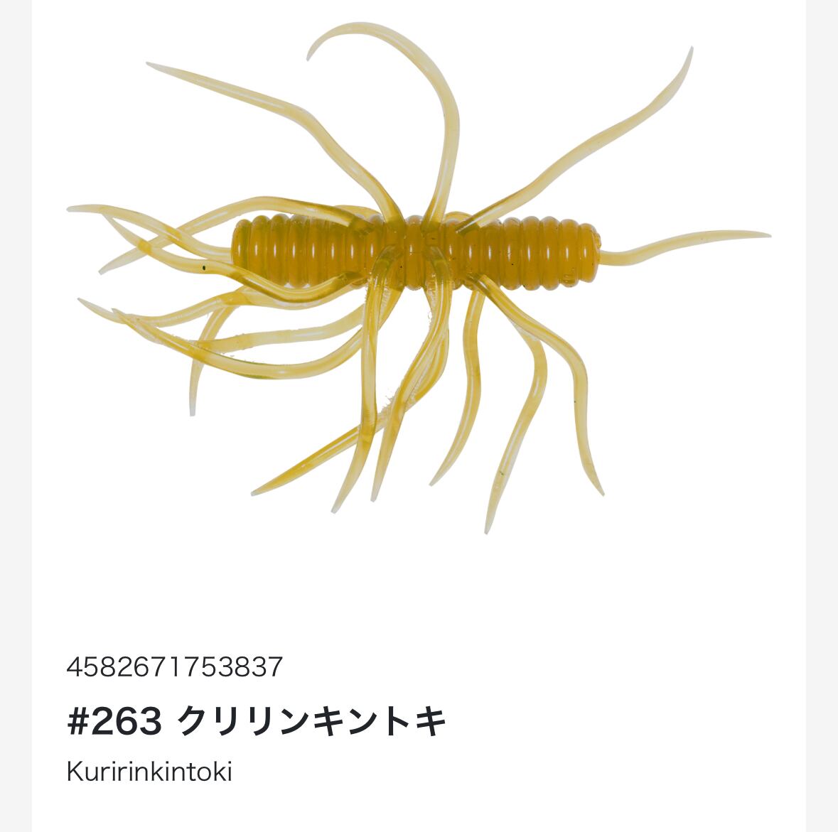 コイケサンダー | TRIBE NETSTORE
