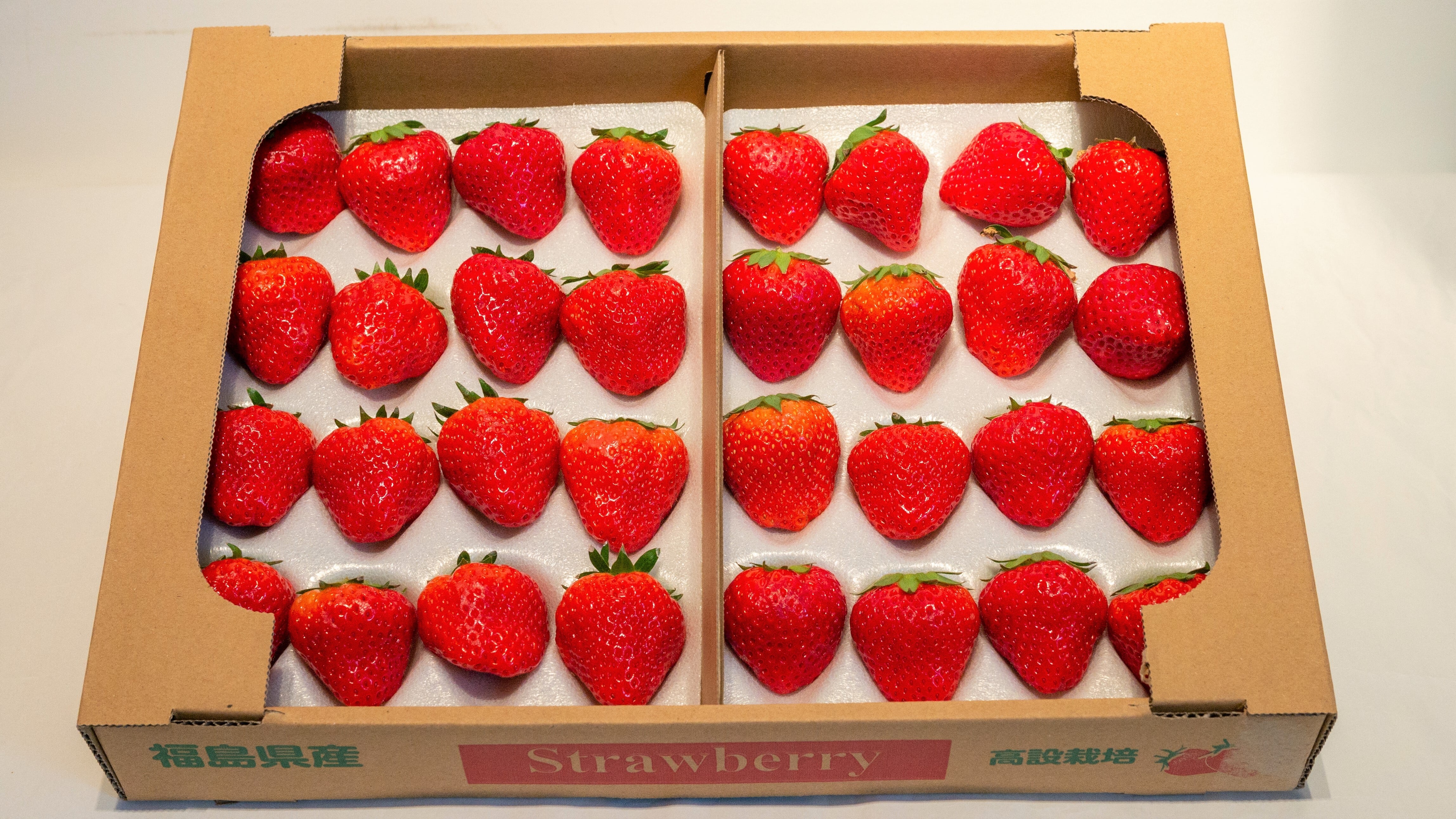 いちご 国産 夏いちご 送料無料 Lサイズ 16個 300g 期間限定 雷峰 希少