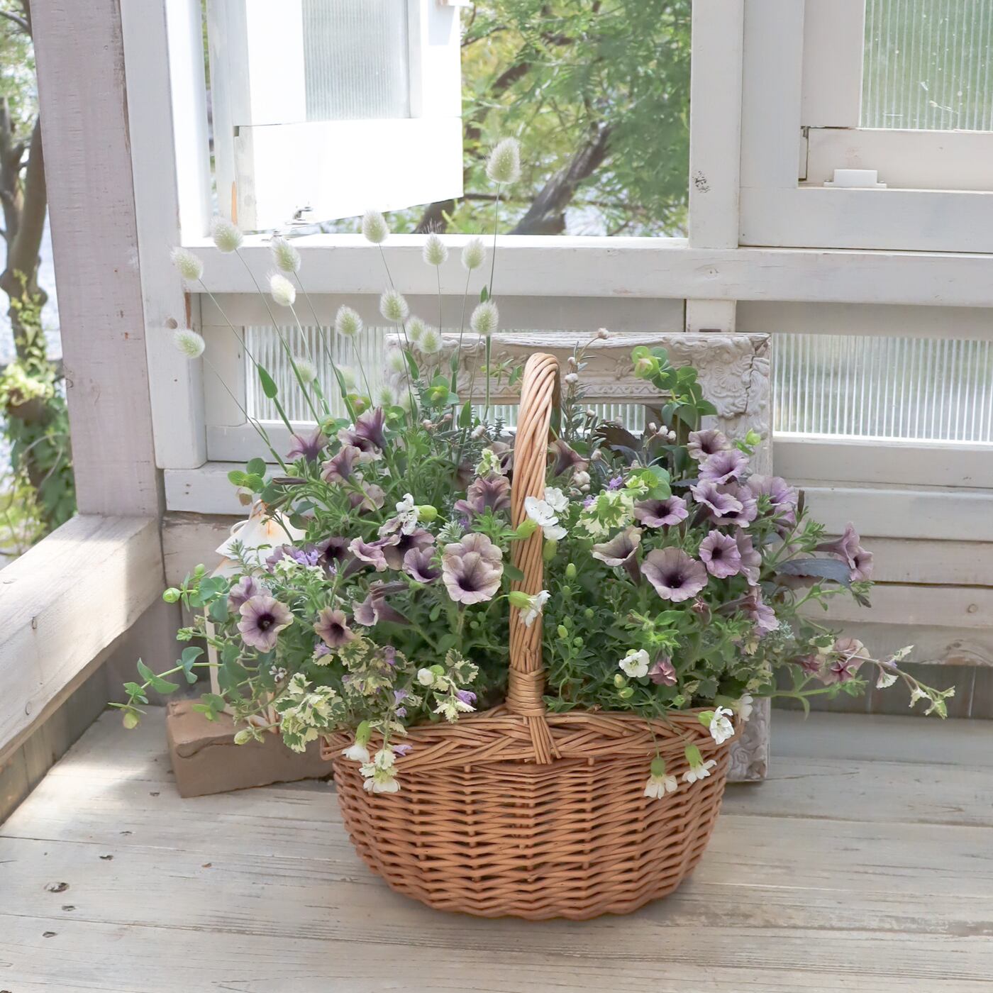 レッスン生の感性から生まれた、ふんわり寄せ植え苗セット