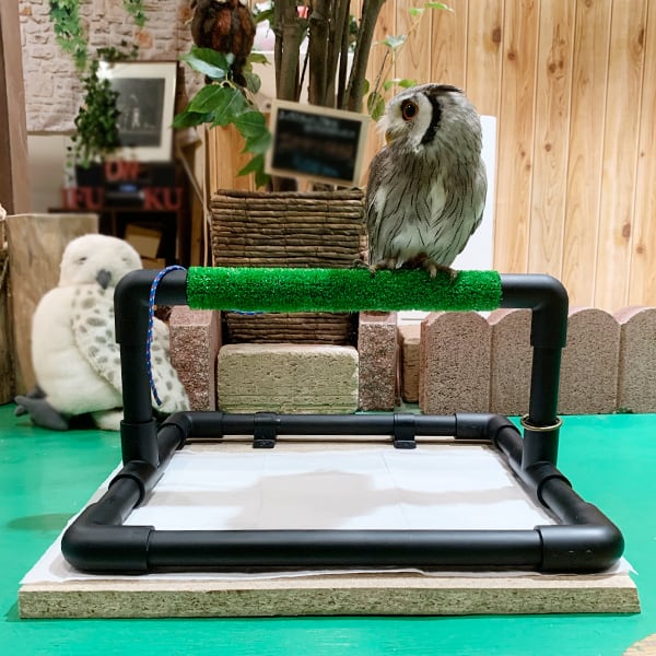 パーチ 黒【フクロウ 猛禽類用】 | アトリエ ぽっくる