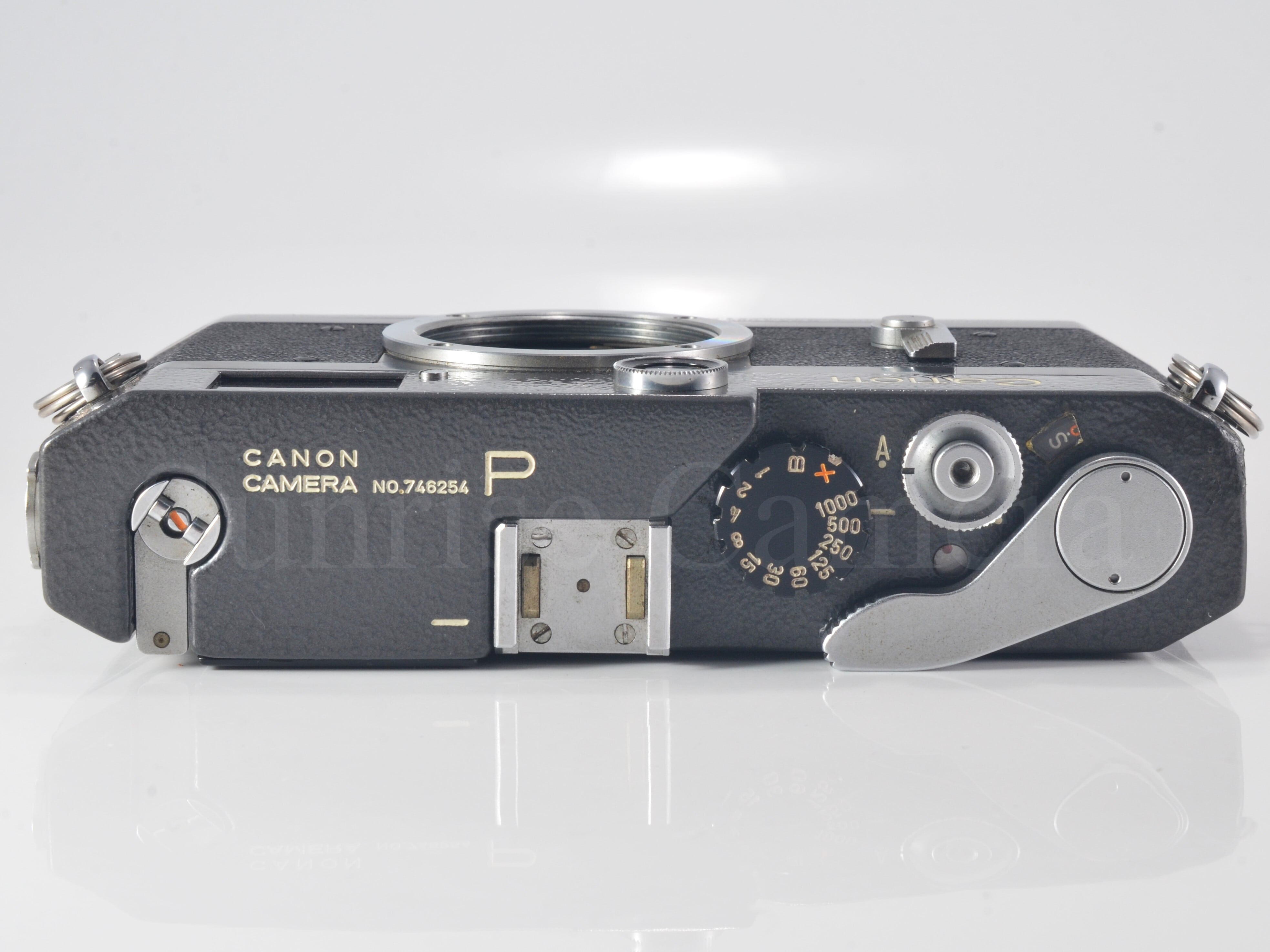 Canon P ポピュレール ボディ ハンマートーン 後塗り キヤノン (60354