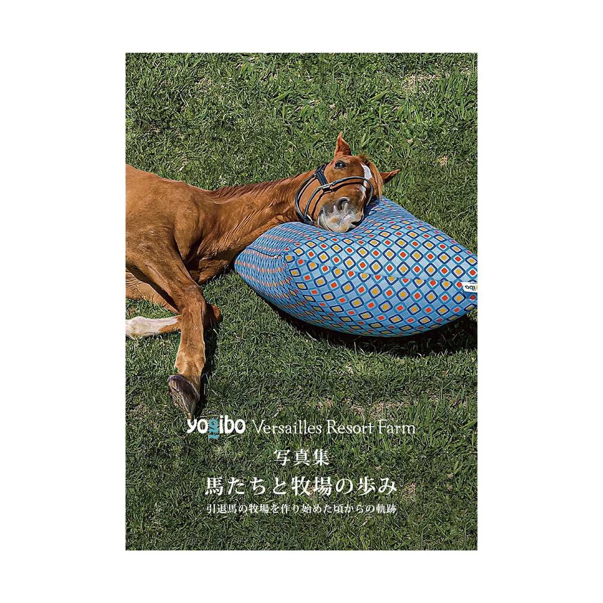 3月末発送予定 【御守り】タニノギムレットたてがみ入り牧柵利用 勝