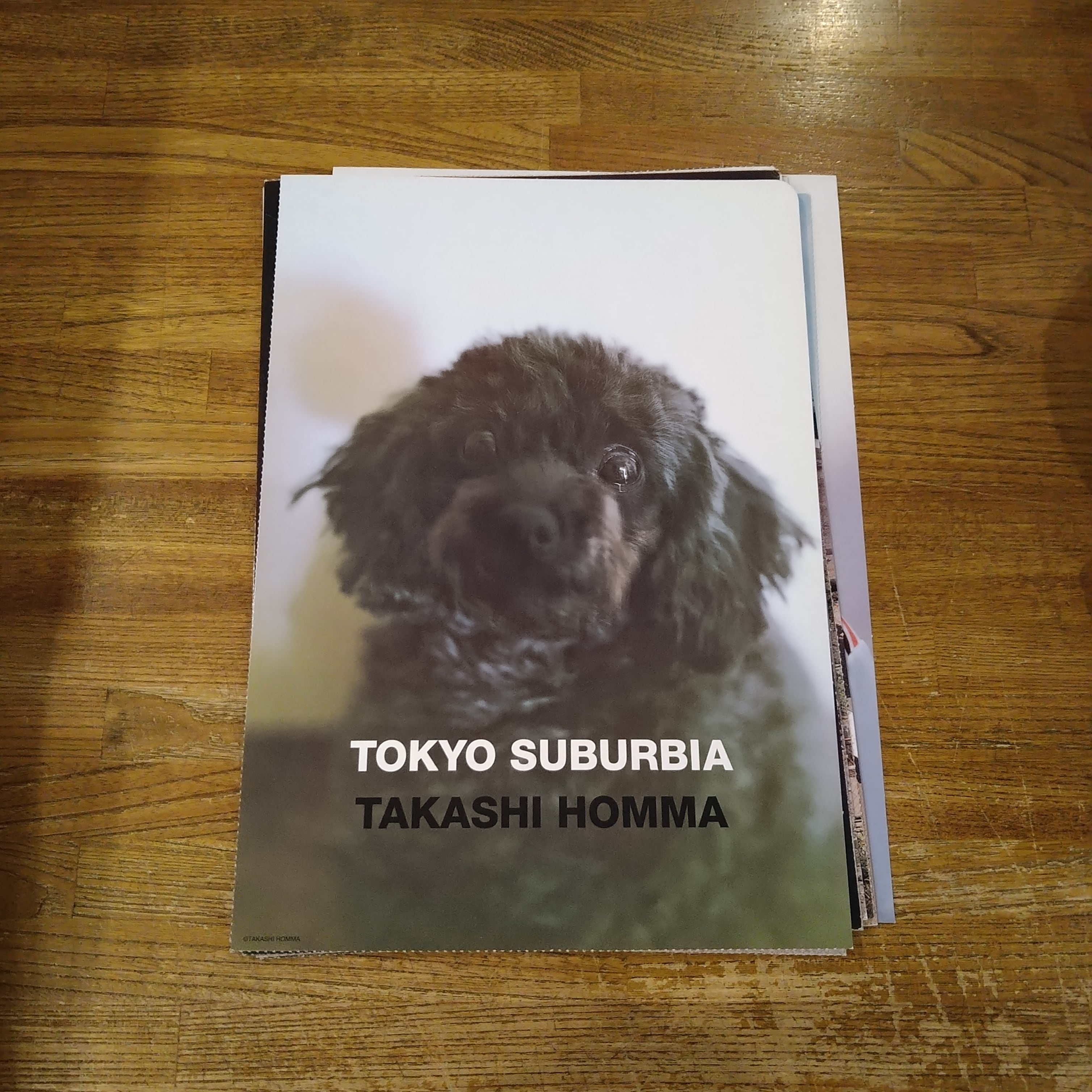 DM】東京郊外 TOKYO SUBURBIA 全9枚セット / ホンマタカシ | 百年
