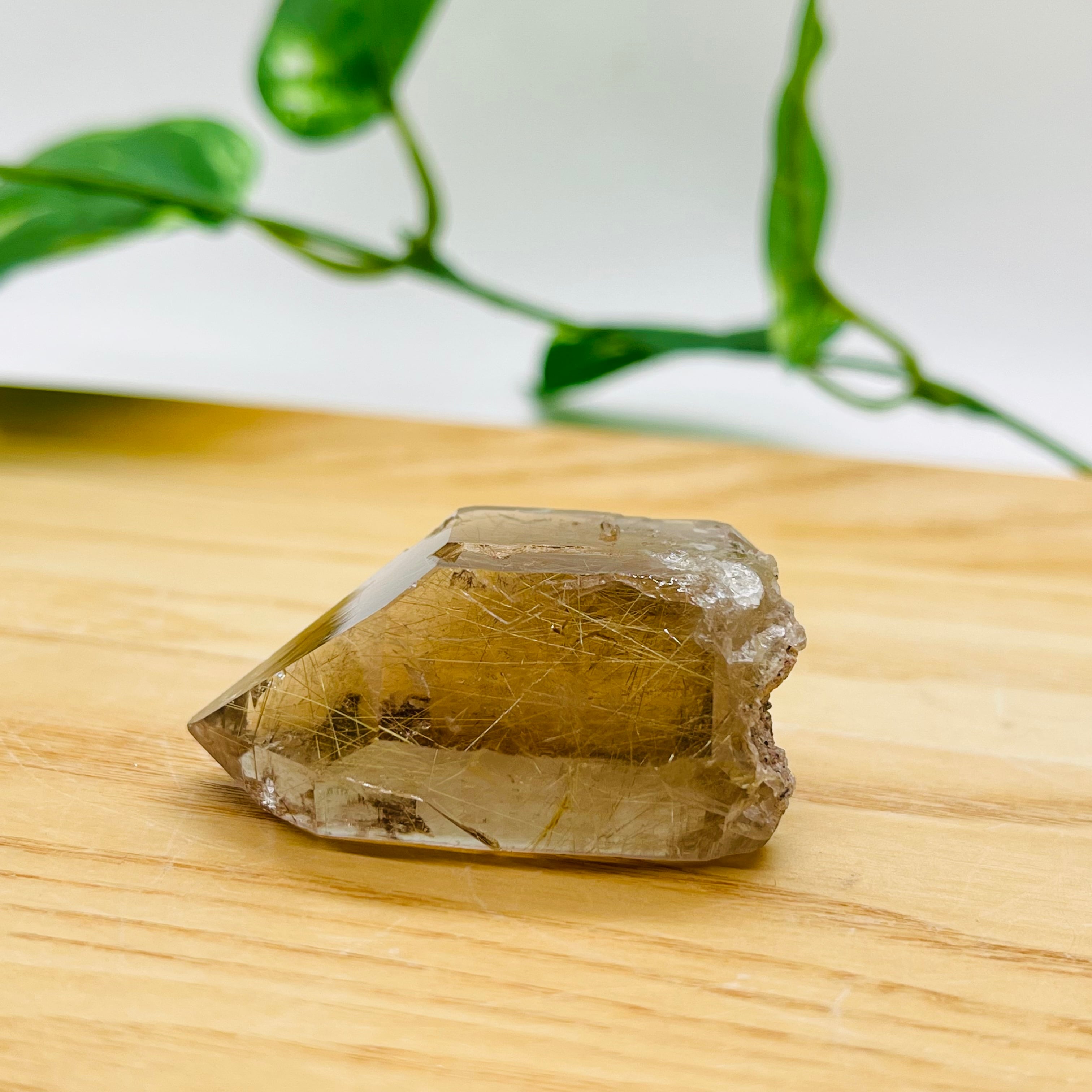 ルチルクォーツ原石ポイント | Green U House