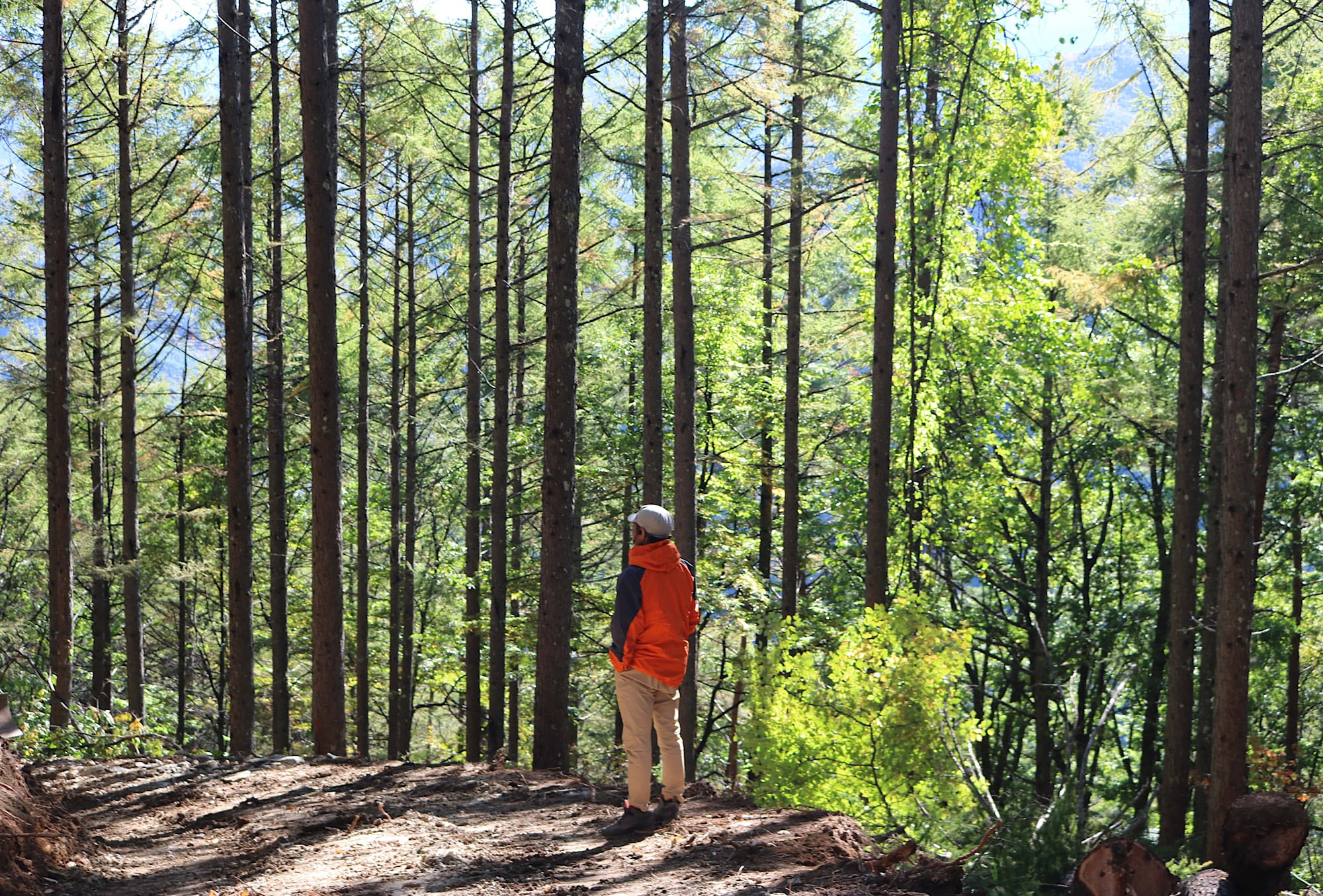 つなぐ里山 オンラインストア