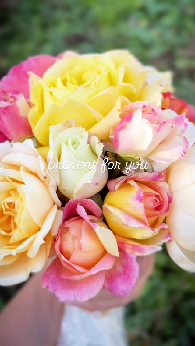 ニコール Nicole ｜ ピーキャットローズショップ