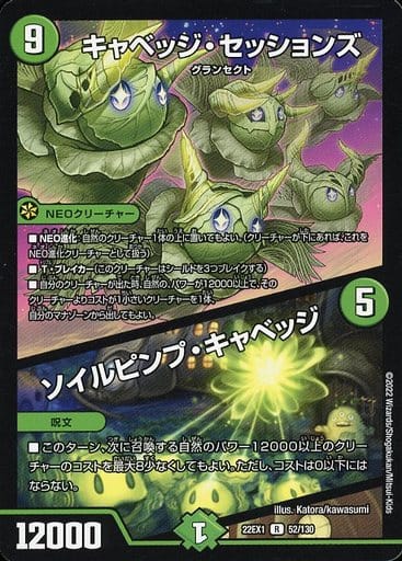 デュエマ オリジナルCS】「第29回 WiNGCS in Duel Stade Ganryu 入間店