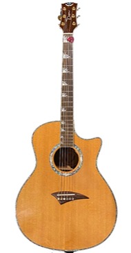 DEAN MICHAEL SCHENKER EXOTICA for sale - Price and Used Value