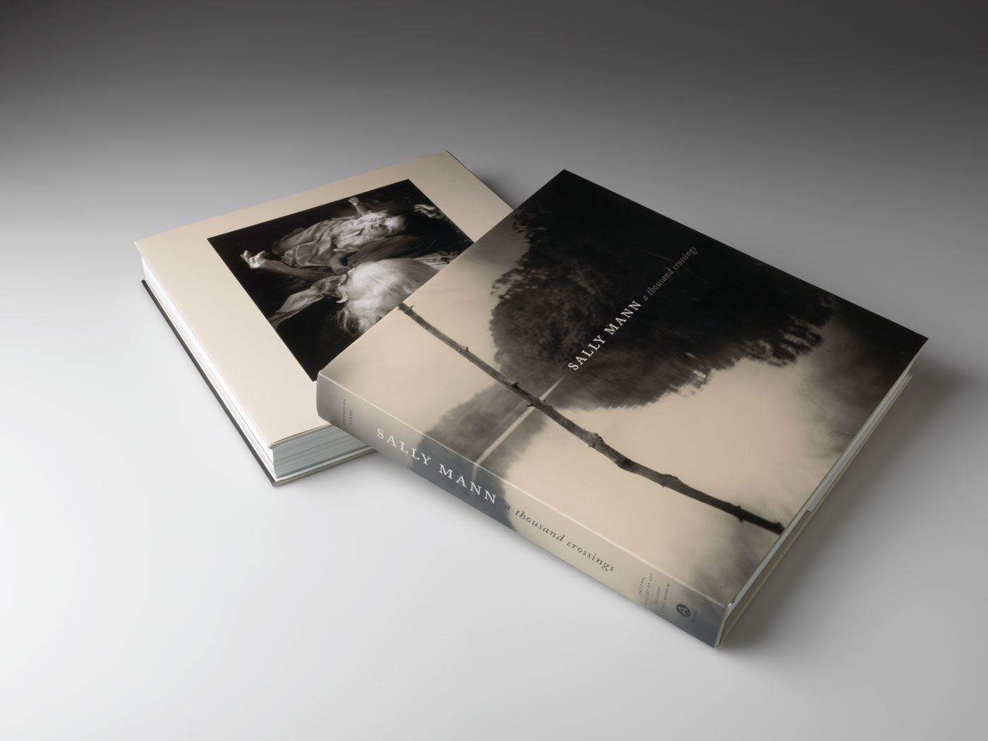 Sally Mann's A Thousand Crossings - brilliant : : brilliant :