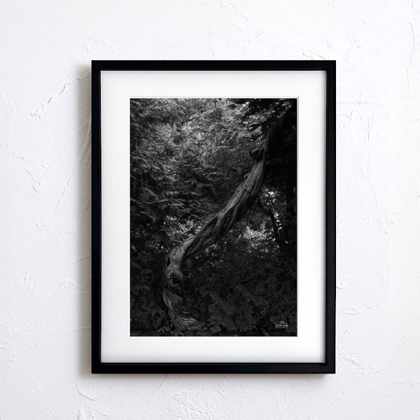 アートポスター】写真 日本 風景景色 自然 モノトーン photo japan