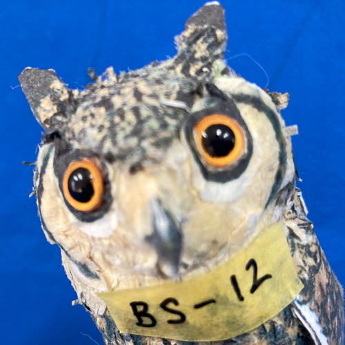 福耳セット ・フクロウ・ミミズク 4体セット 立体・オブジェ