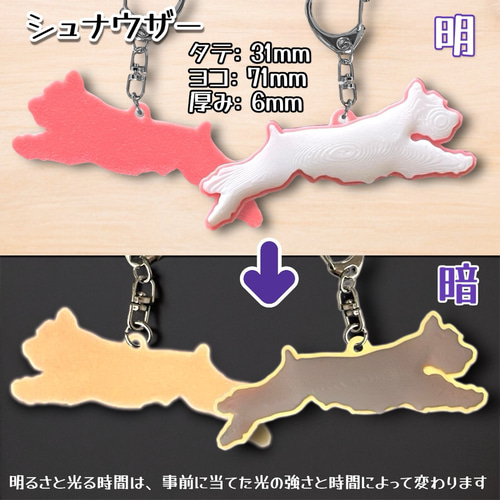 SALE中】カラー蓄光（夜光） キーホルダー 1個 6犬種 5色 キーホルダー