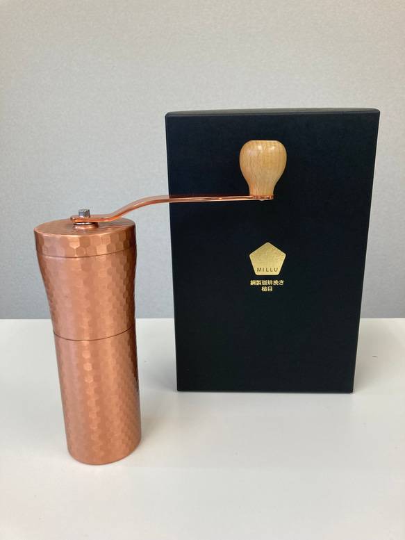 ダイナミックなコーヒーの木 10号 140センチ ダイナミックなコーヒーの